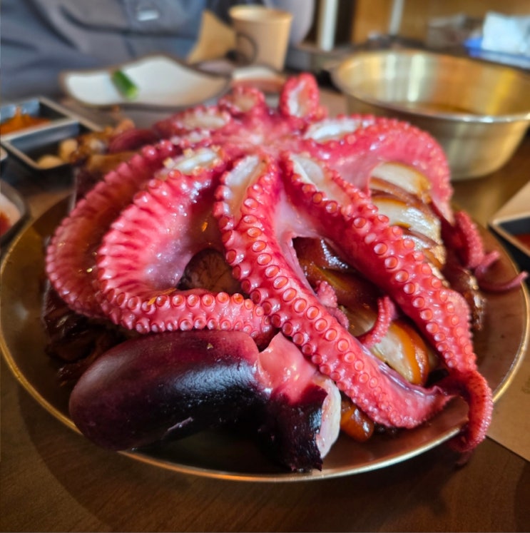  영통족발 맛집 야들야들한 보약족발 막국수 주차 가격