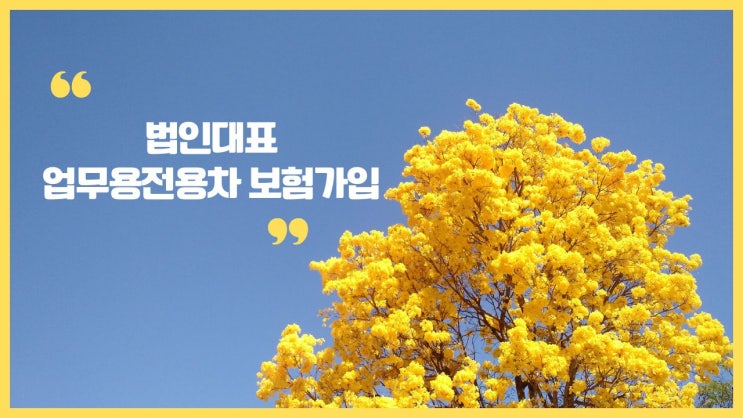 법인대표님 반드시 업무용전용자동보험에 가입해야 합니다