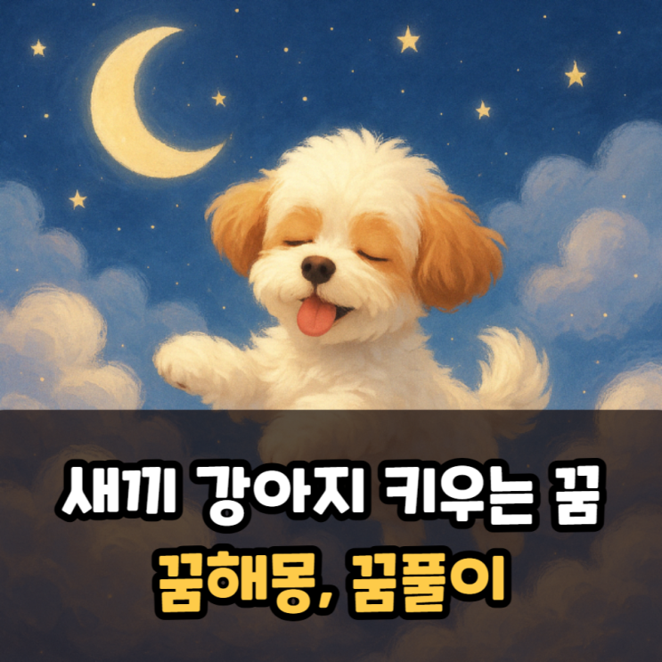  새끼강아지 키우는 꿈 해몽