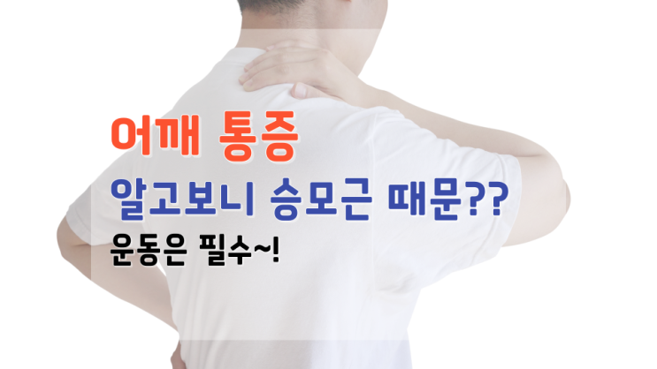  춘천 어깨 통증 두통, 알고 보니 승모근 때문?