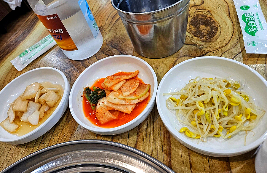 메기대왕 사진 6