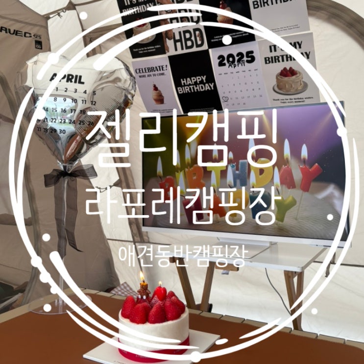  아산 애견동반 라포레캠핑장 C사이트 벚꽃은 내년에