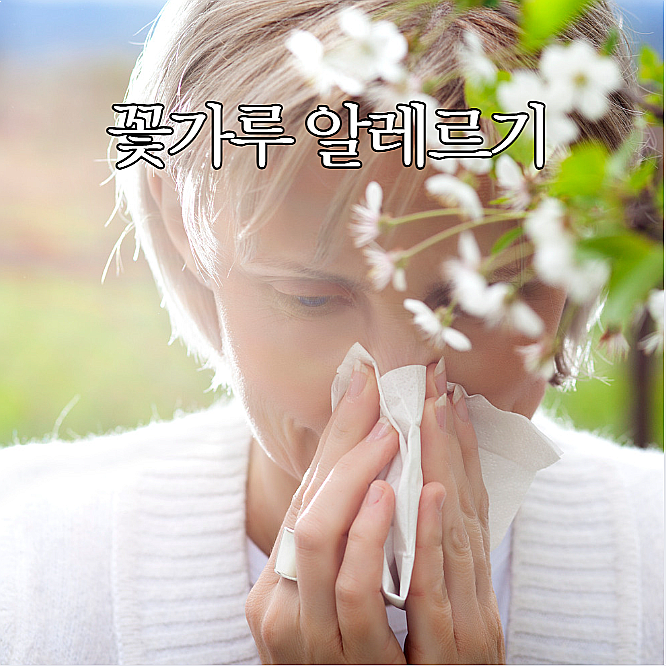  꽃가루 알레르기 증상부터 예방법까지 봄철 건강관리 가이드