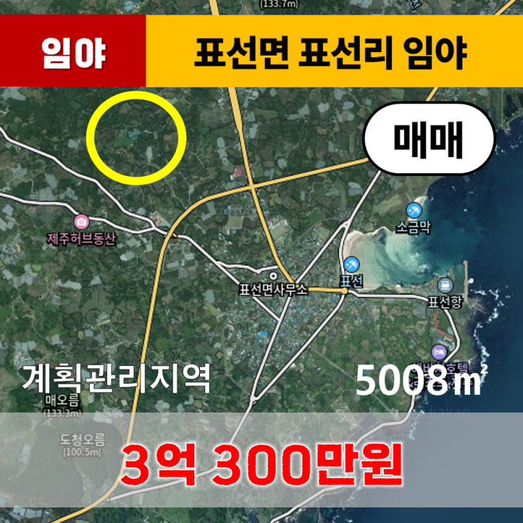  《제주도토지》 서귀포시 표선면 표선리 임야 매매