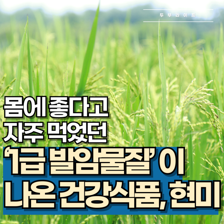  몸에 좋다고 자주 먹었던 '1급 발암물질'이 나온 건강식품, 현미