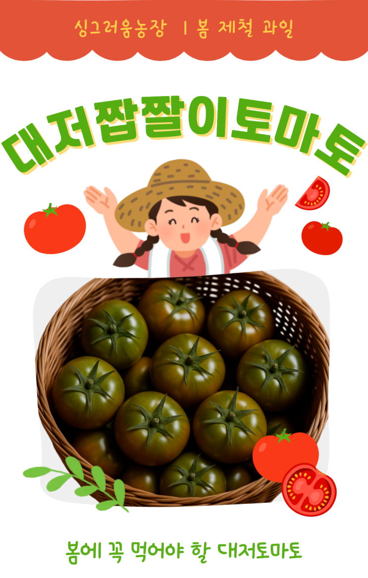  비 오는 날, 싱그러움 가득! 싱그리움농장 대저토마토