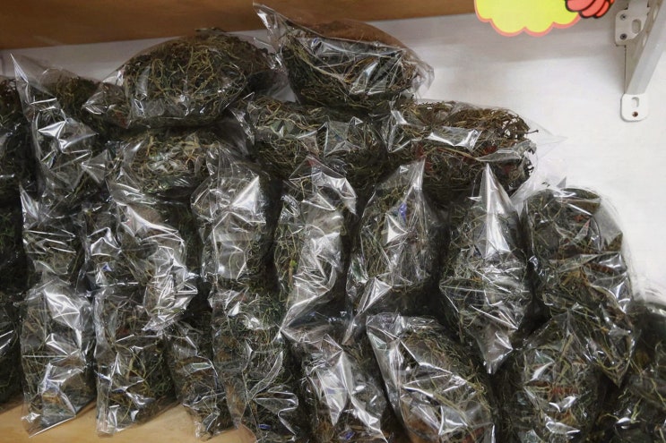  경남식당, 단양 더덕구이 맛집에서 가족과 함께한 행복한 식사