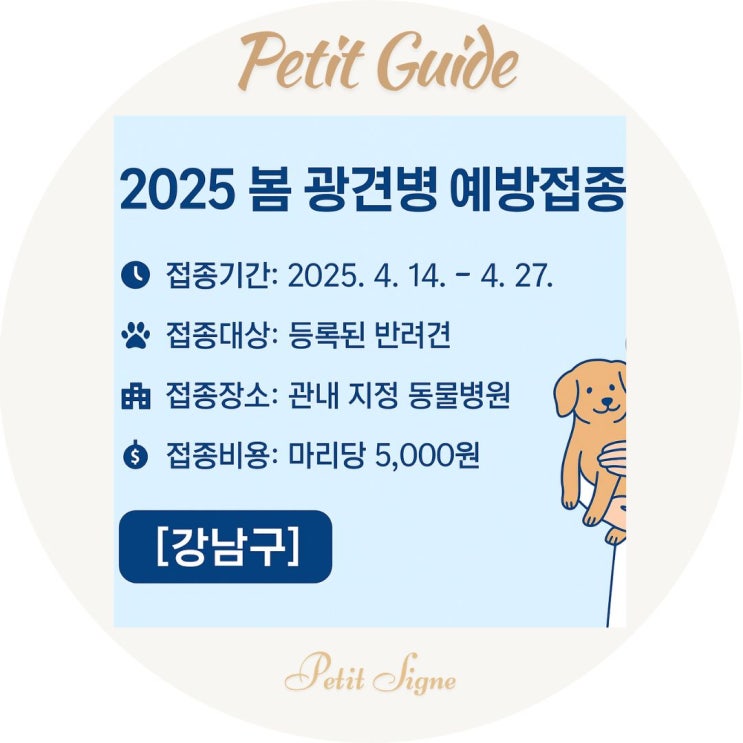  2025 봄철 광견병 예방접종 일정 정리｜서울·인천 지자체 지원 총정리