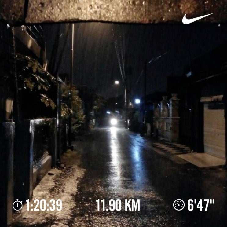 매일 10km 러닝 챌린지 1352일 차