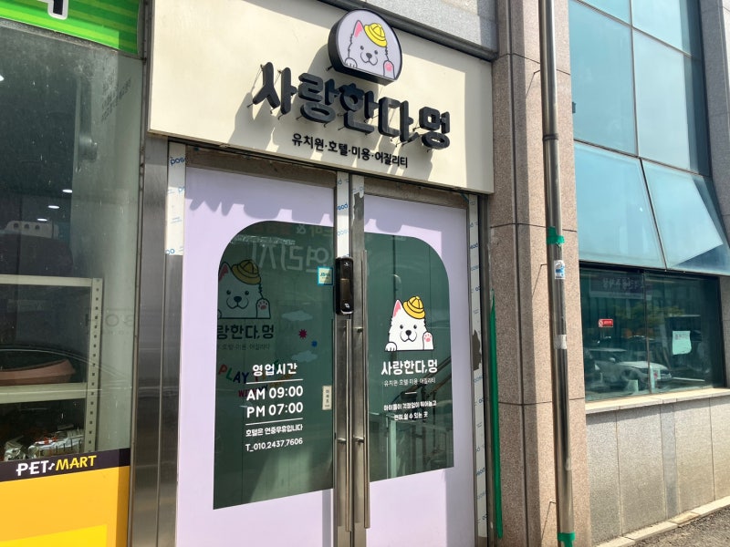 사진 2