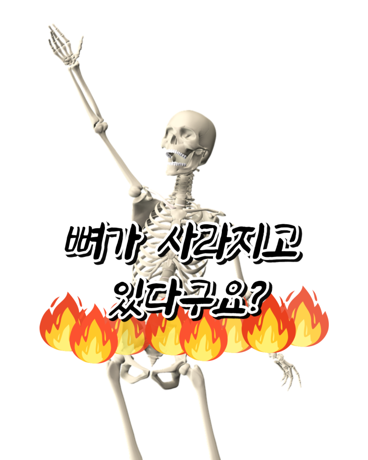  뼈가 없어진다고요?