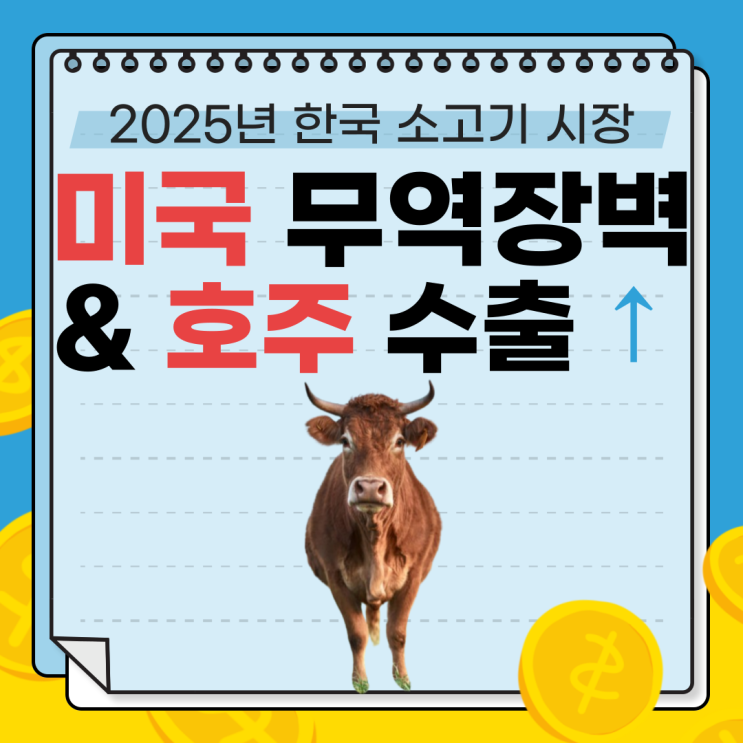  2025년 한국 소고기 시장: 미국 무역장벽과 호주산 소고기의 급성장