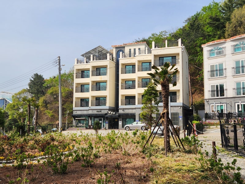 사진 6