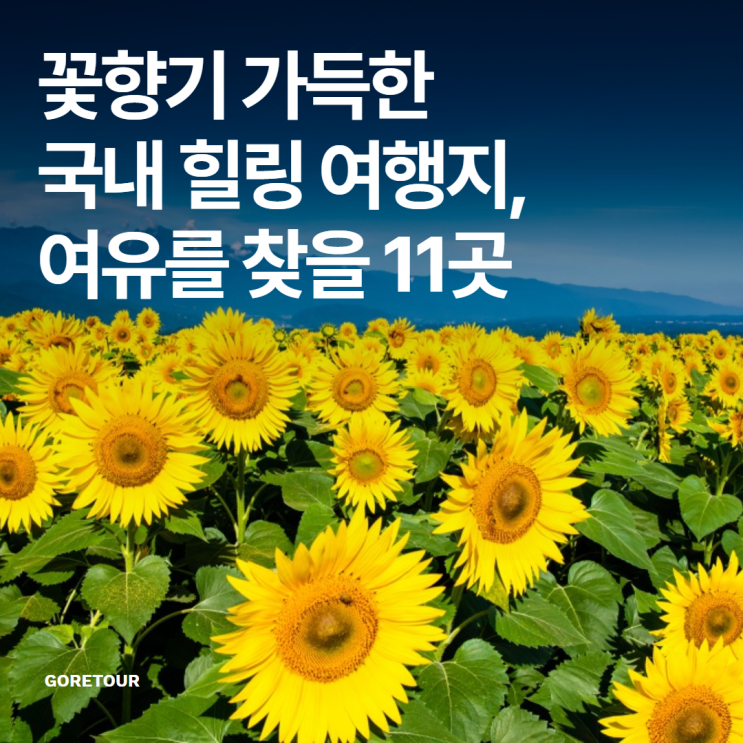  꽃향기 가득한 국내 힐링 여행지, 여유를 찾을 11곳