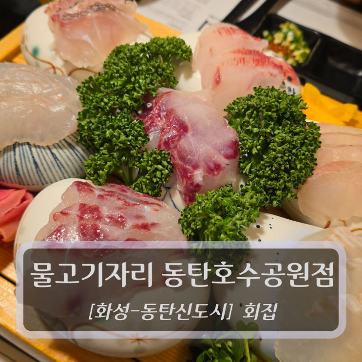  동탄신도시 맛집 :: 물고기자리 동탄호수공원점 - 동탄호수공원횟집