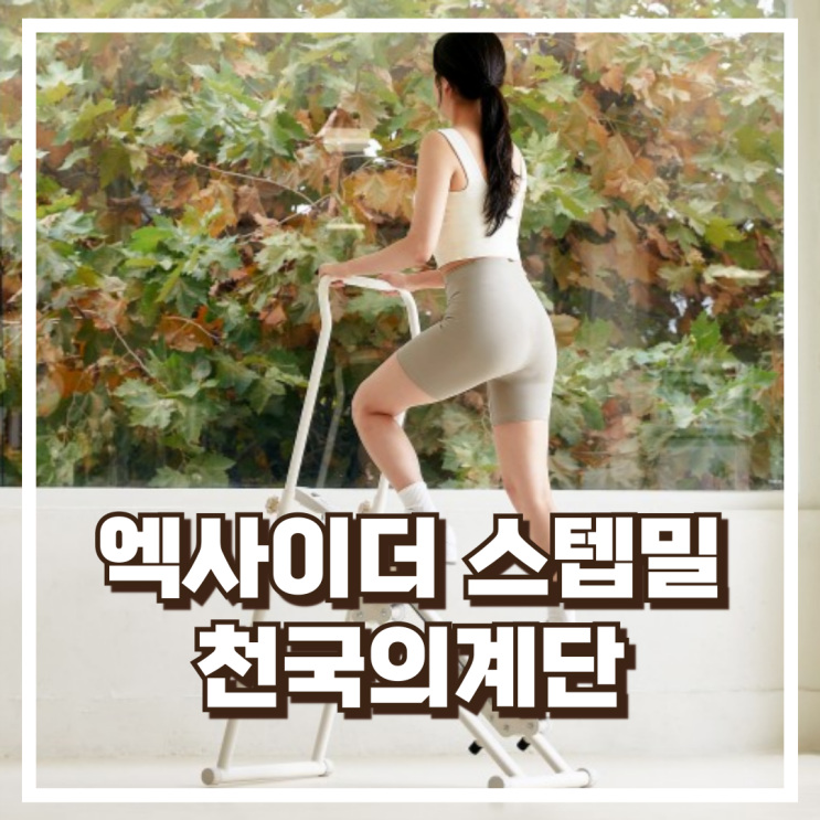  엑사이더 천국의계단 스텝밀 저소음 하체 운동기구 스텝퍼 클라이머 리뷰, 혜택가
