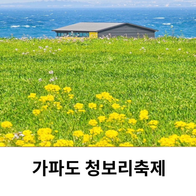  제주 2025 가파도 청보리축제 배시간 예약 소요시간 기본정보 후기