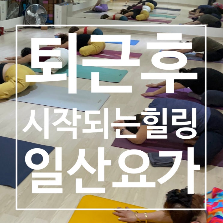  일산요가 퇴근후 힐링 시작 레디바디 탄현점 gx 요가 클래스