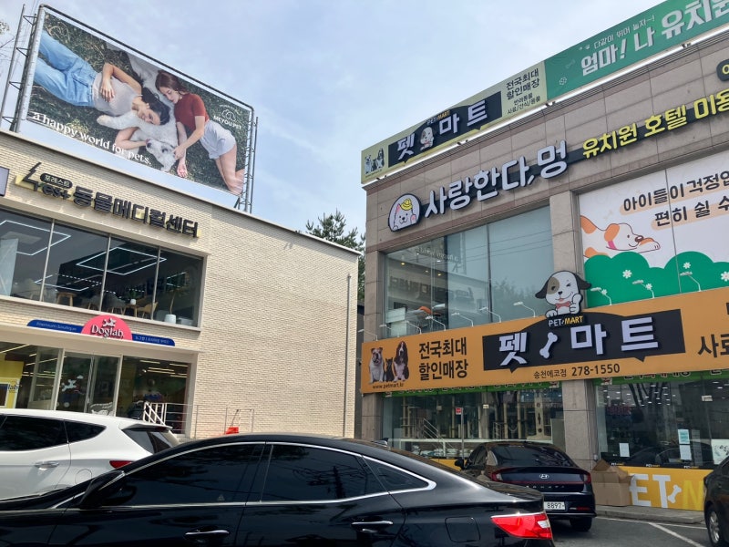 사랑한다멍