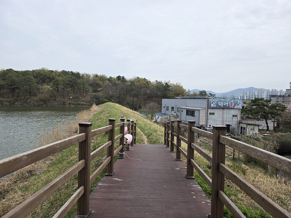 동댕이못 사진 5