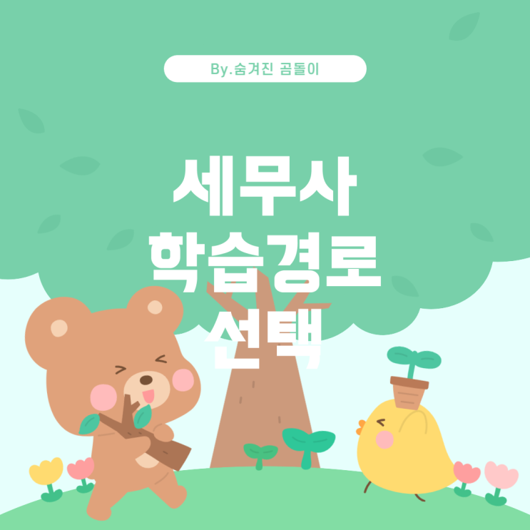  세무사가 되기 위한 최적의 학습 경로: 4년제 경영학과 vs. 전문대 세무학과