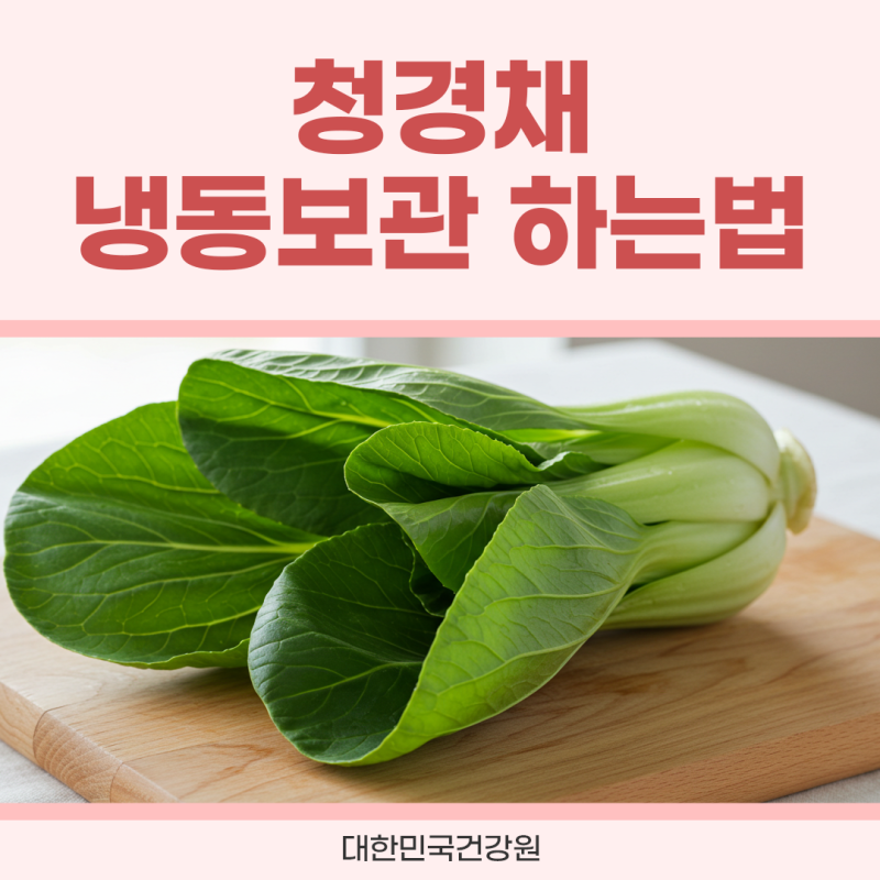 청경채 냉동보관 하는법 오래 먹는법 손질 데치기 꿀팁