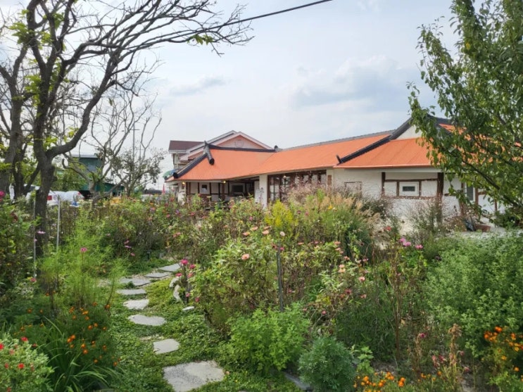  김제 오느른책밭 평야 위 책방 독립서점 주차장 가는길