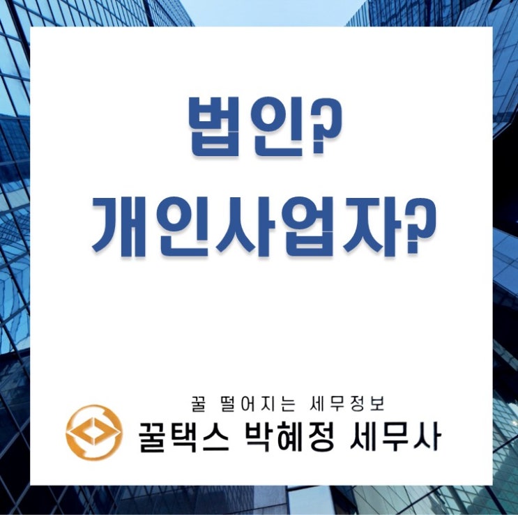  사업형태 결정 가이드 법인 vs 개인사업자 결정적 차이점