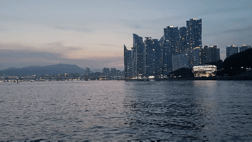 해운대유람선 야경투어/가격/예매/애견동반 후기
