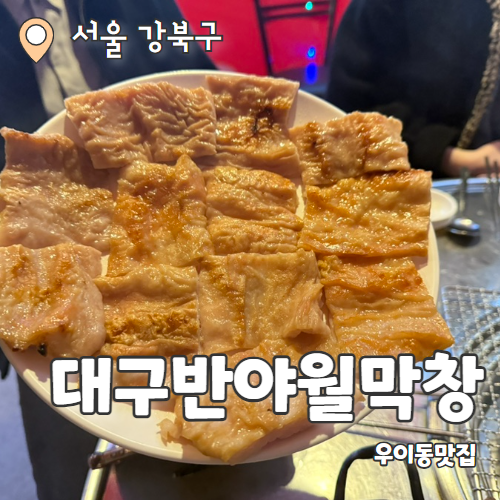  대구반야월막창 서울우이점 : 수유역 가오리역 숯불구이 찐막창 맛집 내돈내산 후기