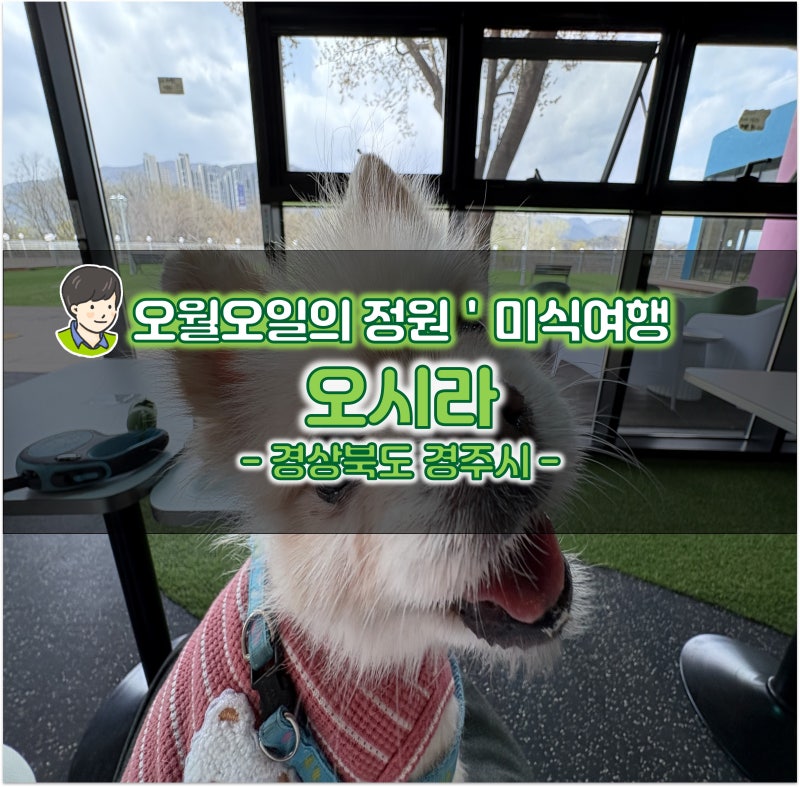 사진 2