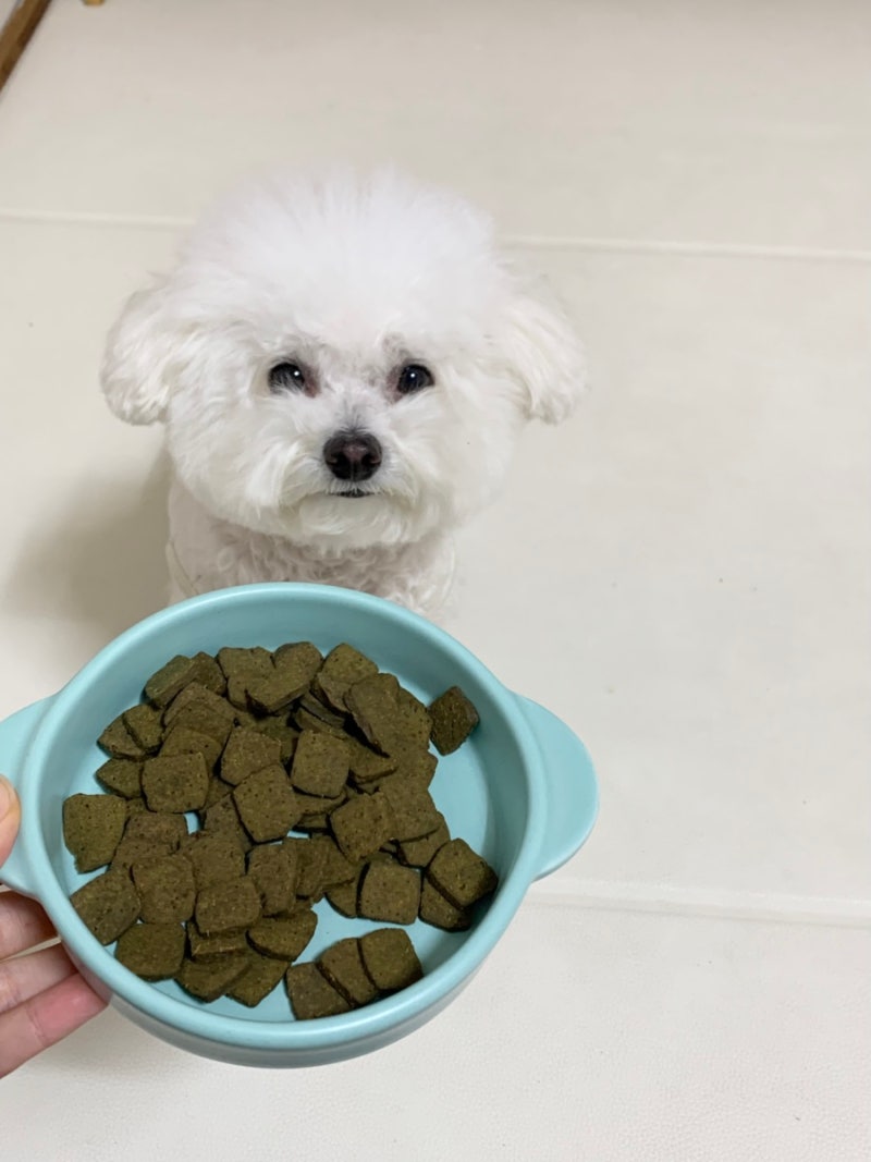 강아지 알러지 사료 그레인프리 허즈 오리고기