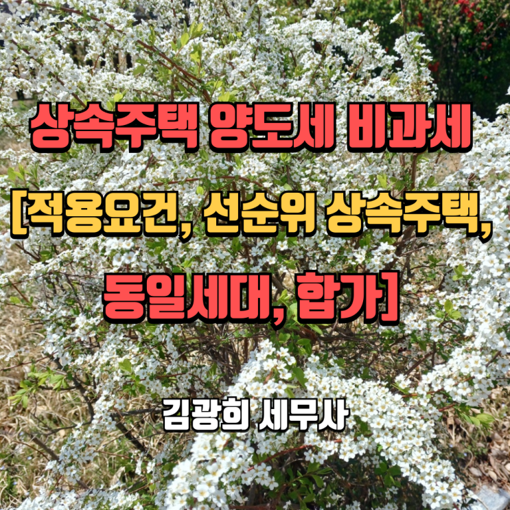  상속주택 양도세 비과세 특례[적용요건, 선순위 상속주택, 동일세대, 합가]