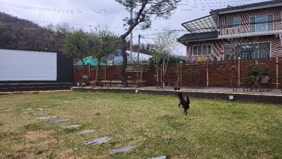 달래강72 사진 6