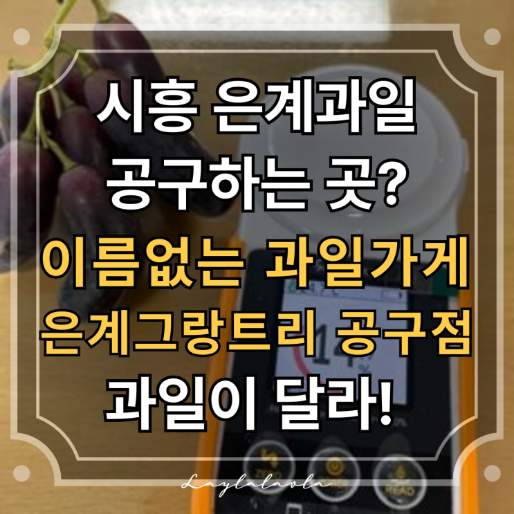  은행동과일 과일 공구는 이름없는과일가게 은계그랑트리 공구점에서 알뜰하게!
