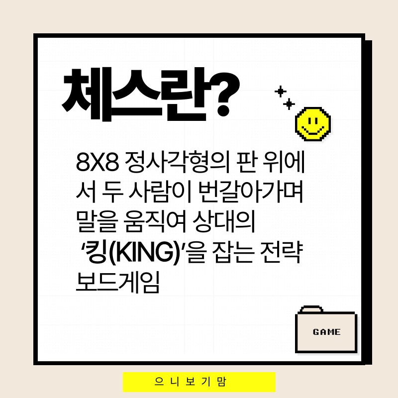 체스 두는법과 규칙, 초보자들을 위한 정리