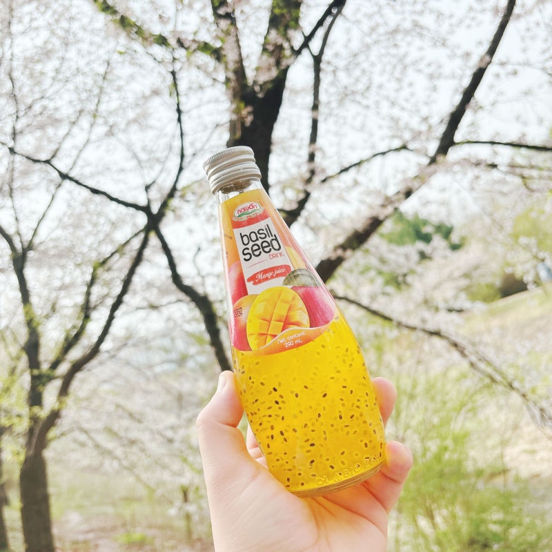 바질씨드음료 건강드링크 나원 바질씨드드링크 망고맛