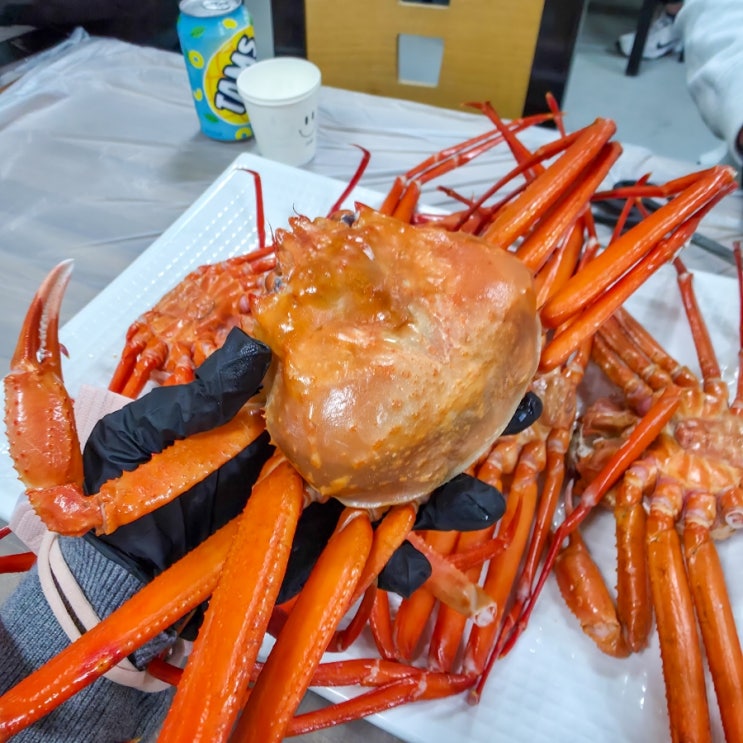  송탄출장소 술집 찾는다면 송탄홍게 맛집: 홍게모리