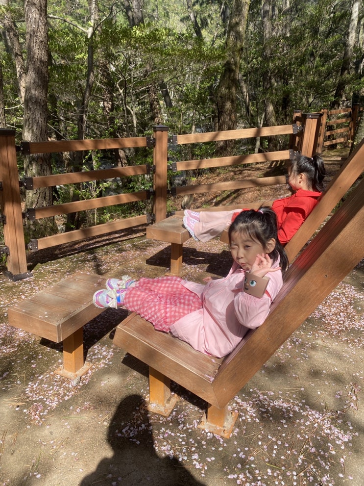  부산에서 아이들과 등산하기 : 올챙이가 많은 장산  (feat. 장산주차)