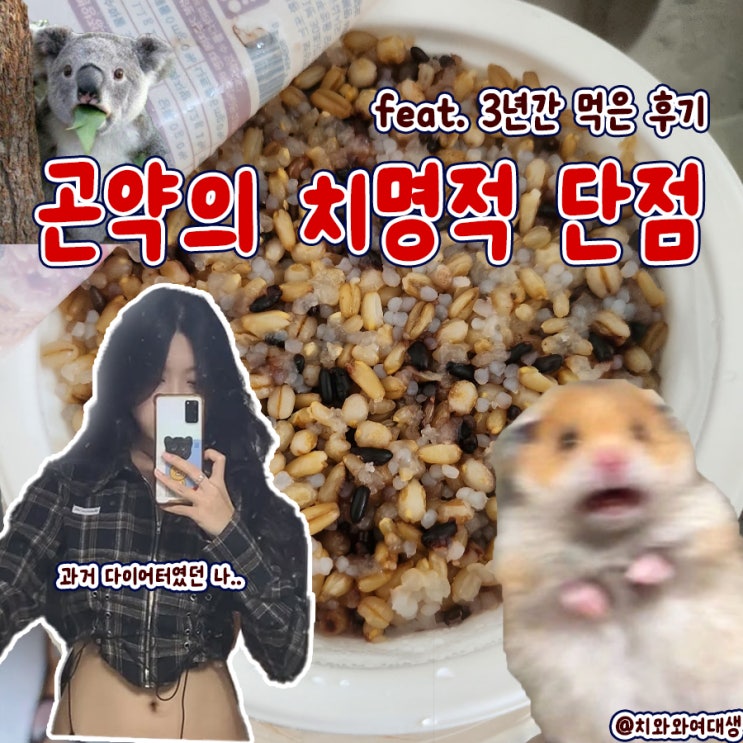  곤약밥 부작용 내돈내산 후기 치명적인 단점