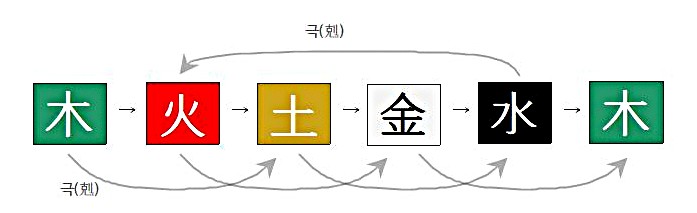  [오행심리⑥] 목이 과다할 때 벌어지는 일, 건강과 십성, 육친으로 살펴보기➊