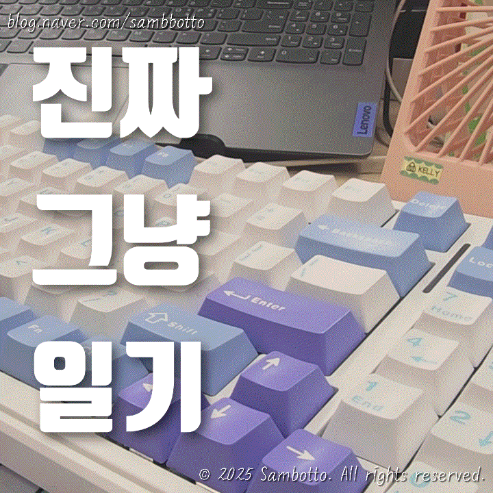  진짜 그냥 일기 | 일본 거래처랑 점심 고기, 귀여운 고양이와 시바견, 유부초밥 도시락, 독거미 AULA F99