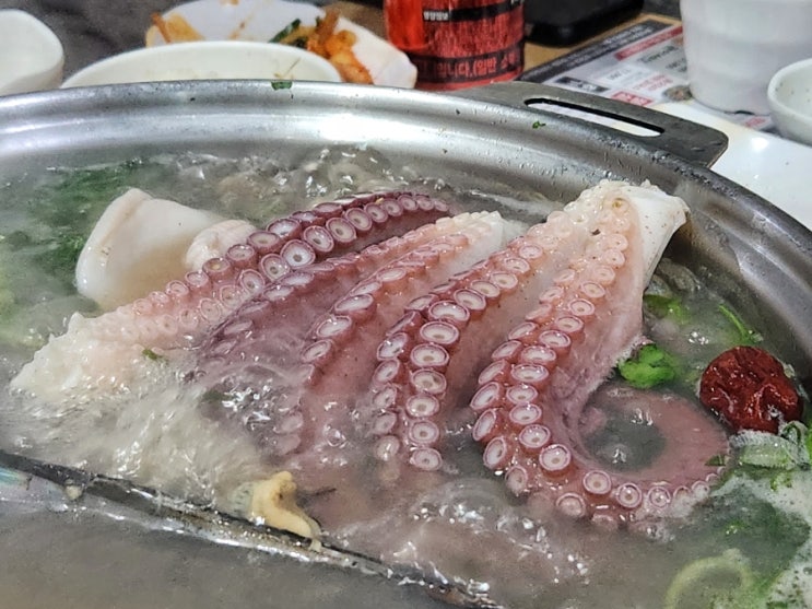[양재역 맛집] 문어세상해천탕 양재점, 해천탕과 연포탕을 전문으로 하는 서울 문어 맛집 (양재 술집, 양재역 조개)
