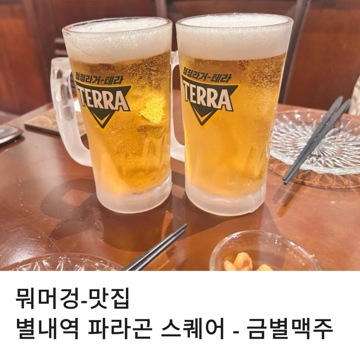  별내역 파라곤 스퀘어 맛집 분위기 좋고 식사 뺨치는 안주가 있는 금별 맥주