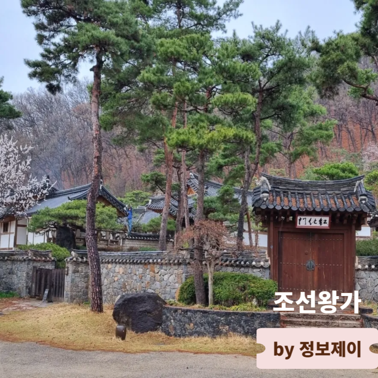  연천 한옥스테이 펜션 조선왕가 역사가 살아있는 조선왕실 고택에서 누리는 특별한 경험