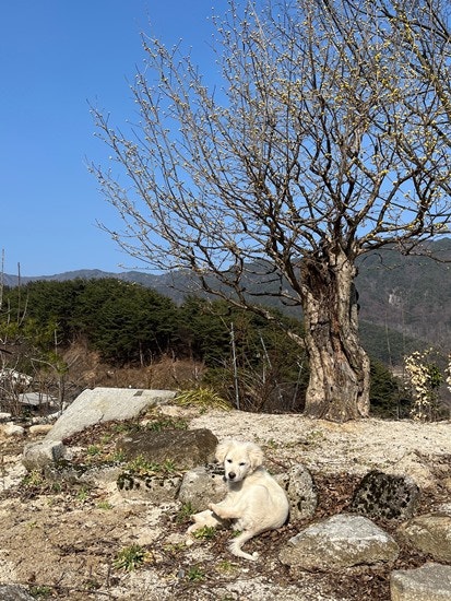 난여울 사진 3