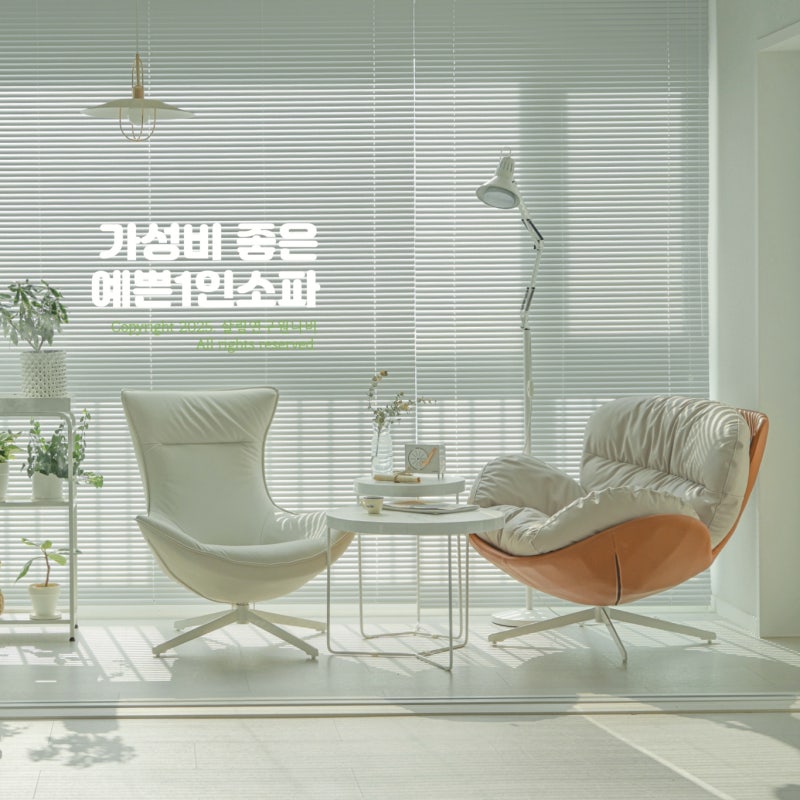 거실 1인용쇼파 가성비 좋은 편한 1인 낮은 가죽 소파 추천