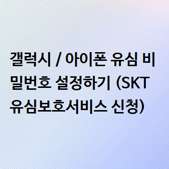  갤럭시 / 아이폰 유심 비밀번호 설정하기 (SKT 유심보호서비스 신청)
