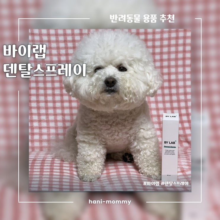 강아지용품추천, 강아지양치를 쉽게 시킬 수 있는 바이랩 덴탈 스프레이 강아지용품추천, 강아지양치를 쉽게 시킬 수 있는 바이랩 덴탈 스프레이