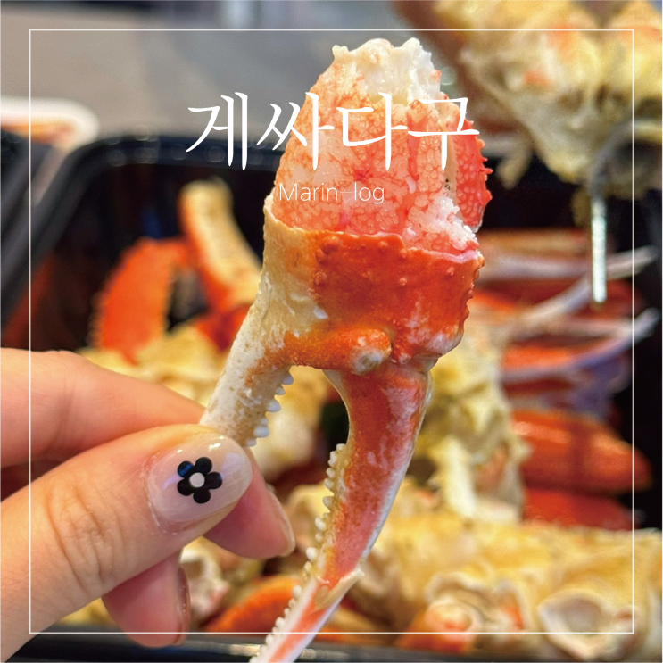  속초중앙시장 붉은대게수산 게싸다구 내돈내산 후기(주차, 대게 홍게 가격, 대게 포장)